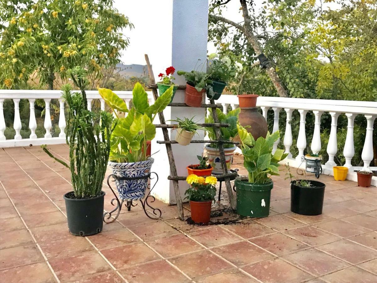 Casa Rural En كونستانتينا المظهر الخارجي الصورة